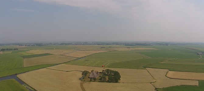 Castricum tijdens de TROPENdagen Castricum tijdens de TROPENdagen